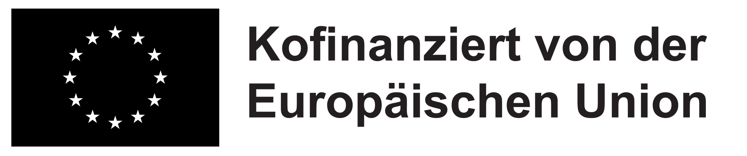 DE Kofinanziert von der Europ„ischen Union_BLACK